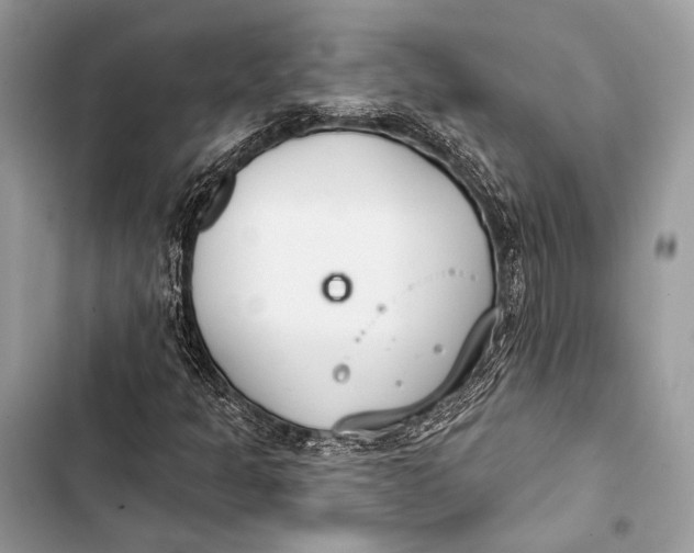 X0000103491301200810031556