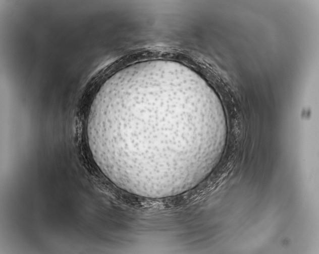 X0000103491302200810031556