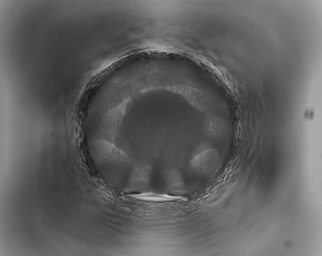 X0000103491303200810031556