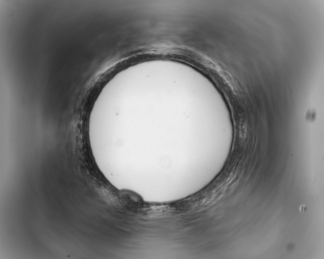 X0000103491304200810031556