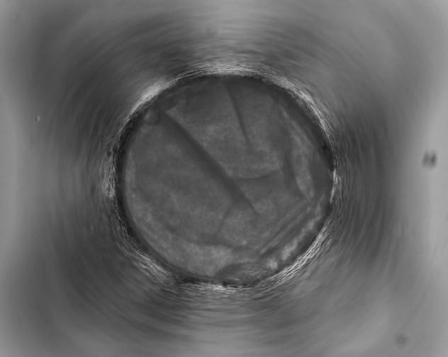 X0000103491306200810031556