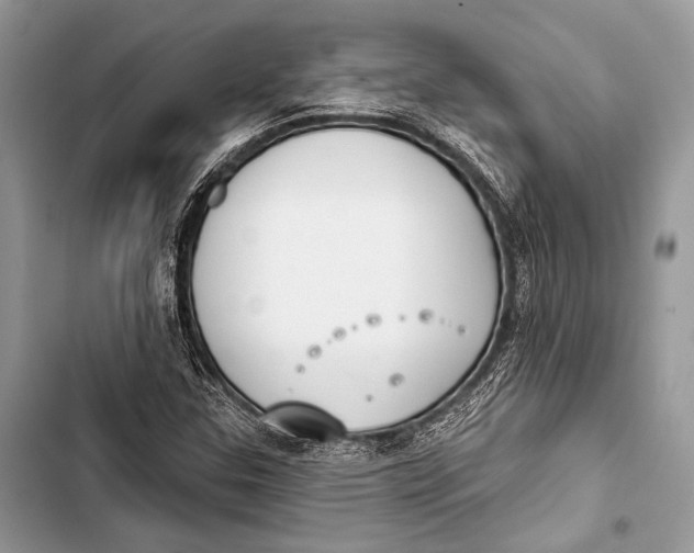 X0000103491307200810031556