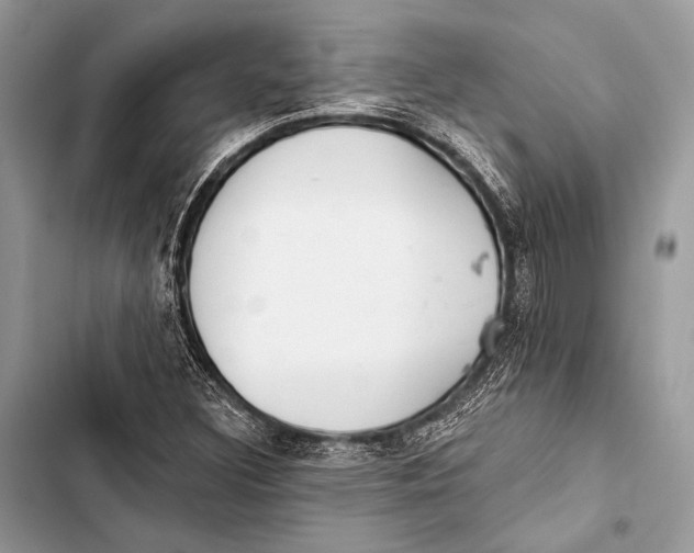 X0000103491308200810031556