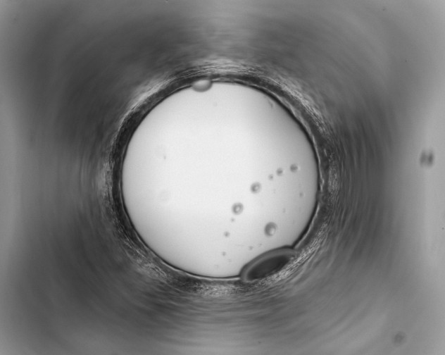 X0000103491309200810031556