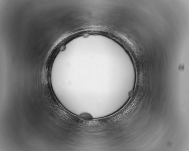 X0000103491310200810031556