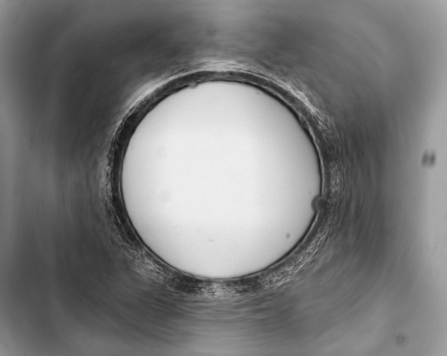 X0000103491311200810031556