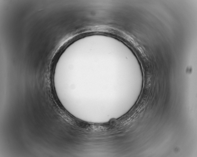 X0000103491312200810031556