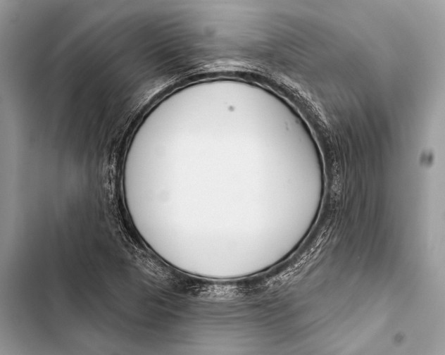 X0000103491313200810031556