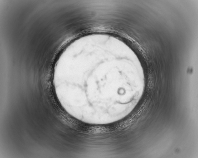 X0000103491314200810031556