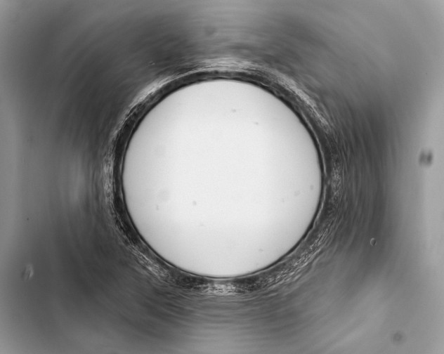 X0000103491315200810031556