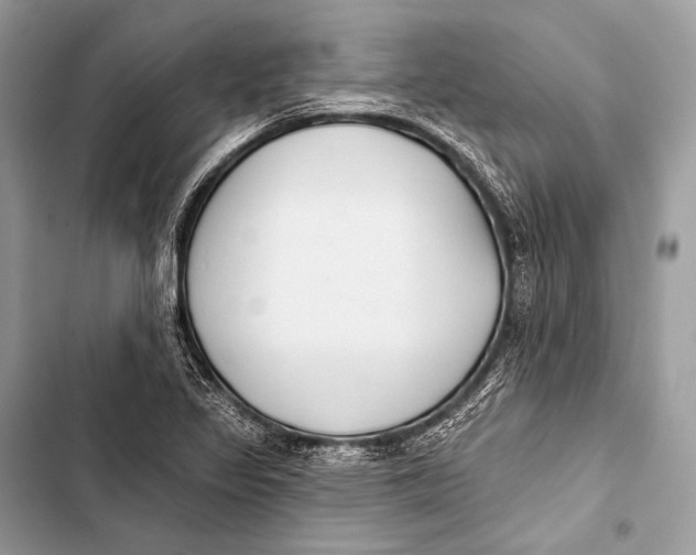 X0000103491317200810031556