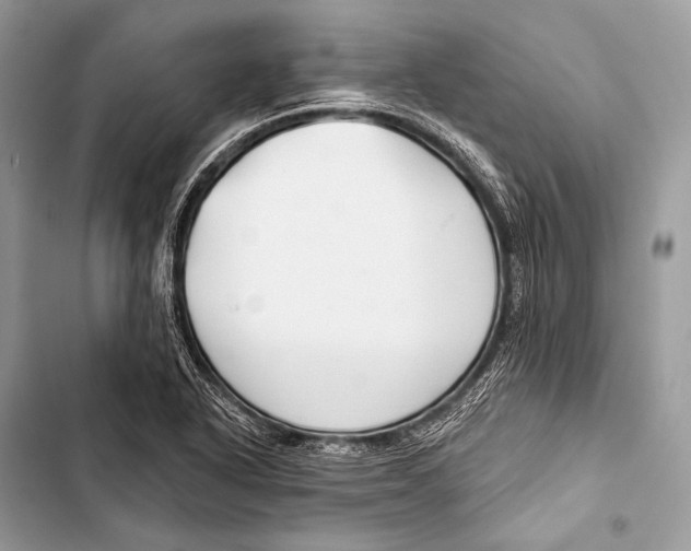 X0000103491318200810031556