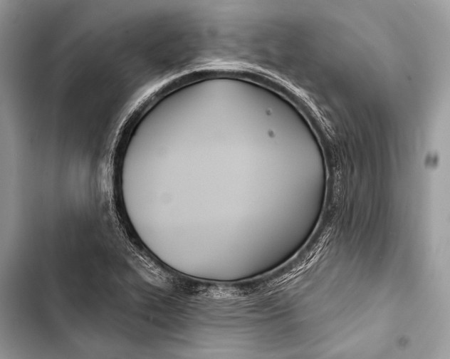 X0000103491319200810031557