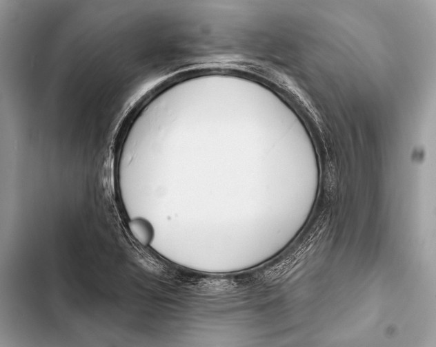 X0000103491320200810031557