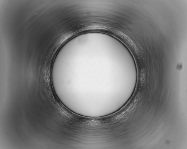 X0000103491321200810031557