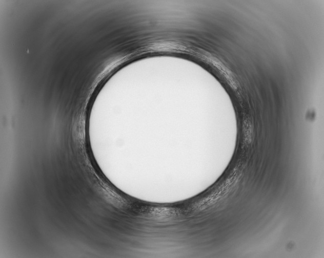 X0000103491322200810031557