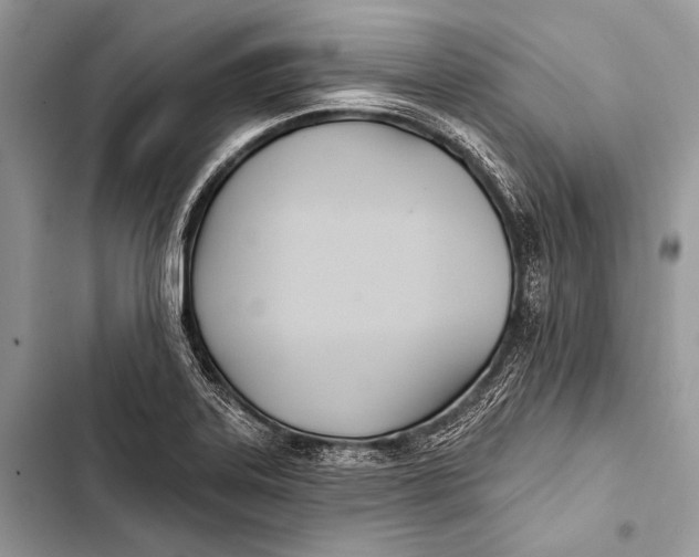 X0000103491323200810031557