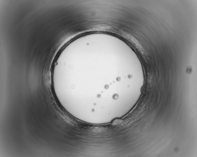 X0000103491324200810031557