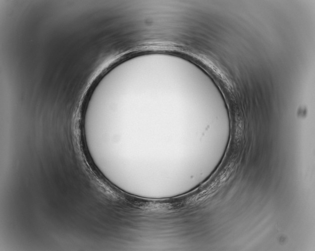 X0000103491325200810031557