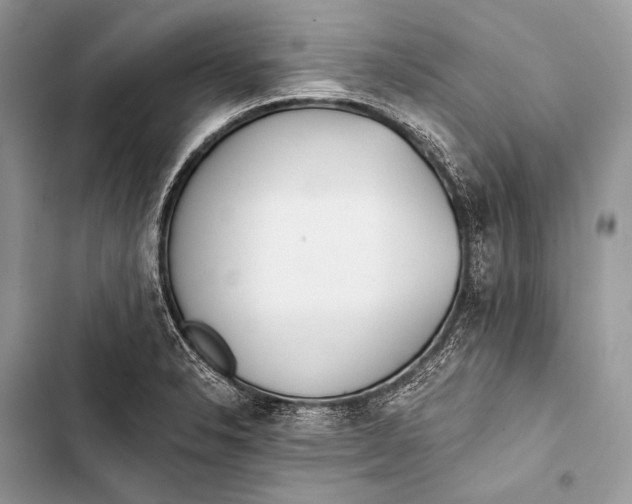 X0000103491326200810031557