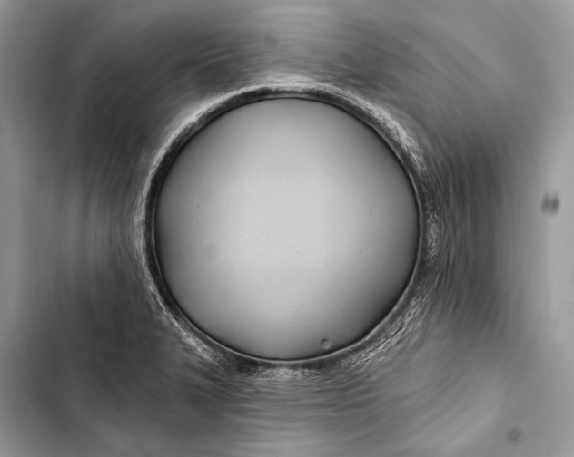 X0000103491327200810031557