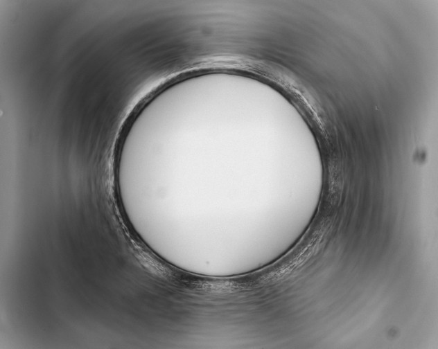 X0000103491328200810031557