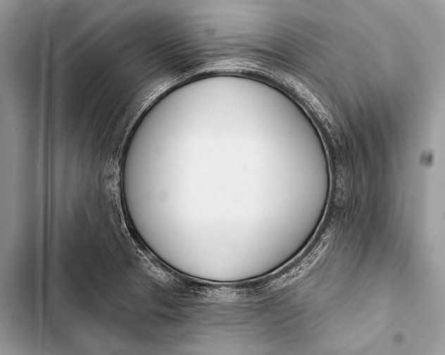 X0000103491329200810031557