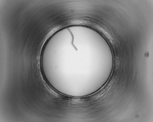 X0000103491330200810031557