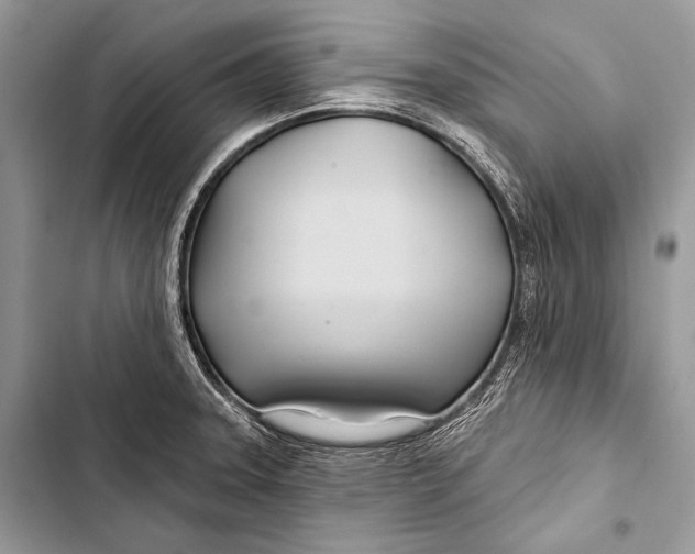 X0000103491331200810031557