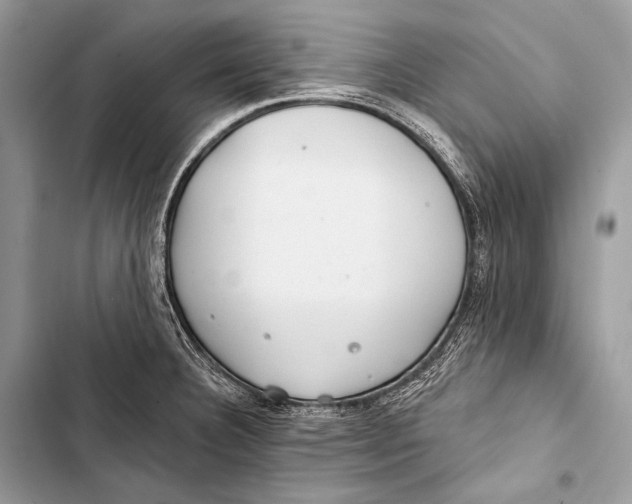 X0000103491332200810031557