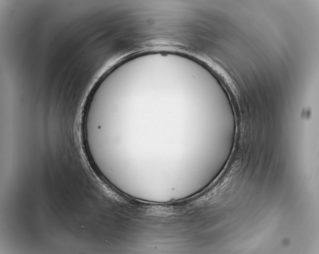 X0000103491333200810031557