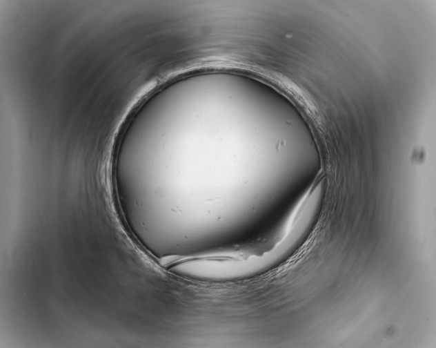 X0000103491334200810031557