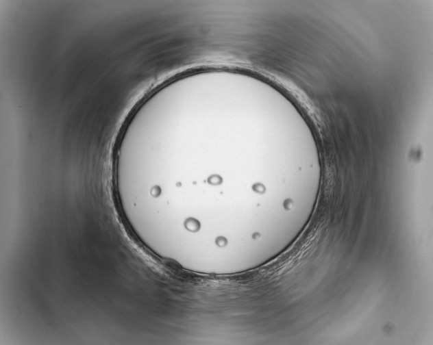 X0000103491335200810031557