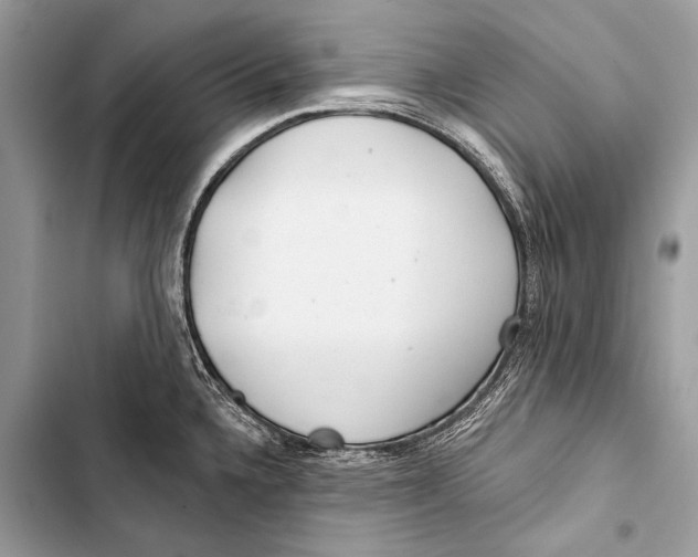 X0000103491336200810031557