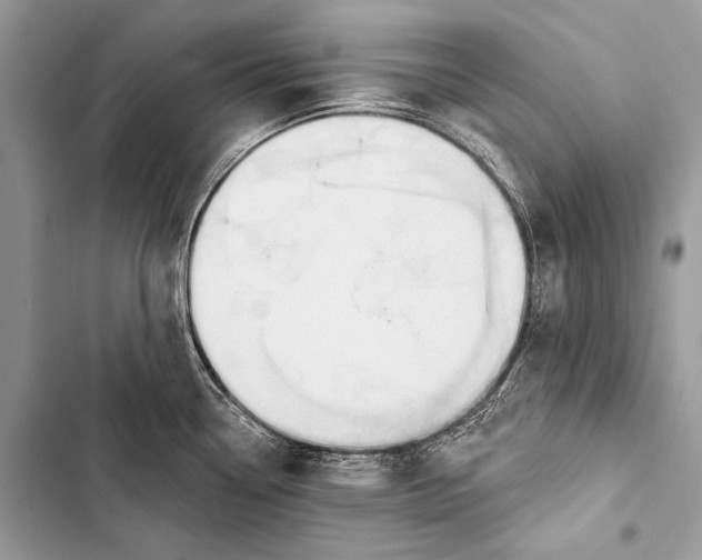 X0000103491338200810031557