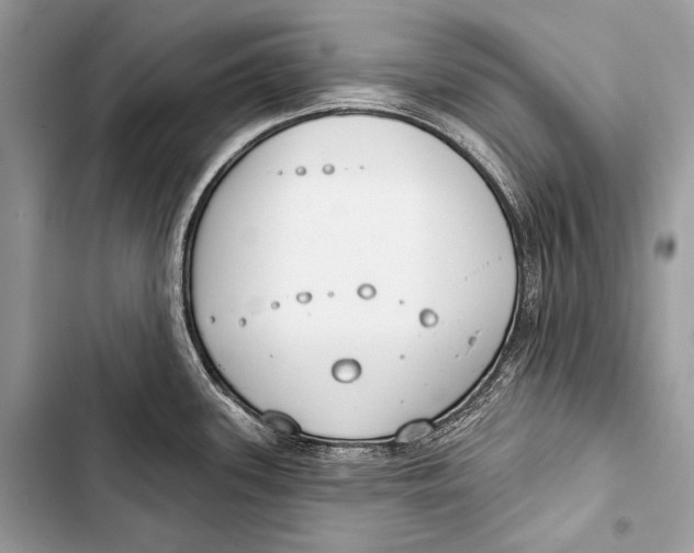 X0000103491339200810031557