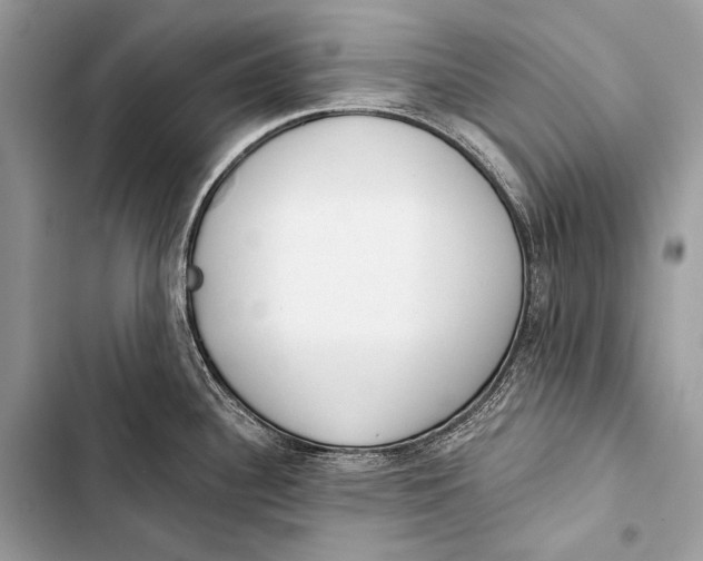 X0000103491340200810031557