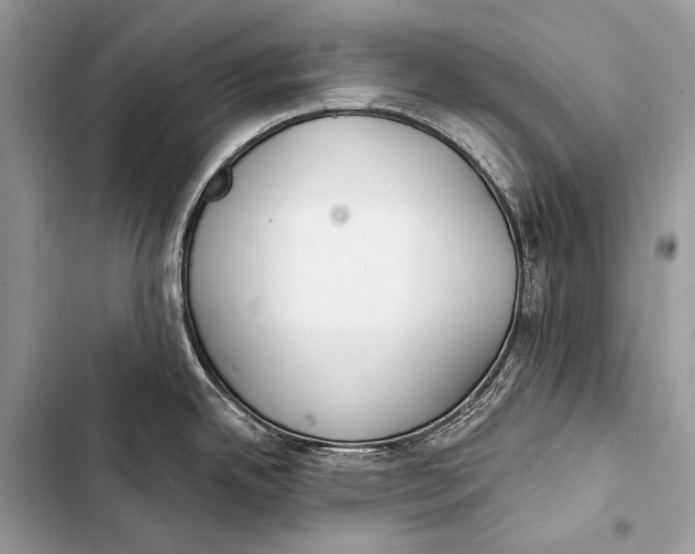 X0000103491342200810031557