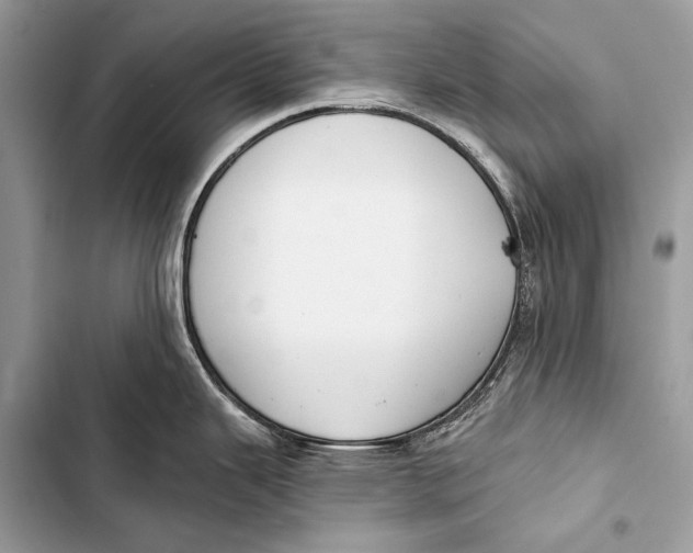 X0000103491343200810031557