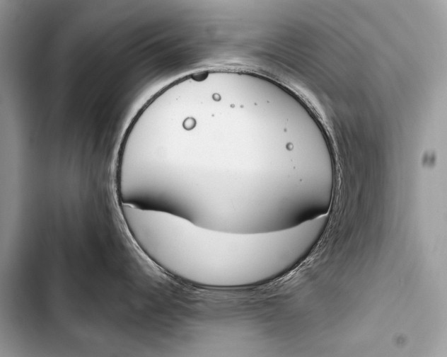 X0000103491344200810031557