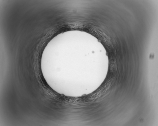 X0000103491345200810031556