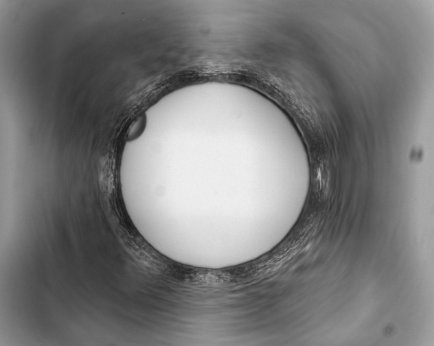 X0000103491348200810031556