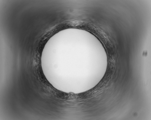 X0000103491349200810031556