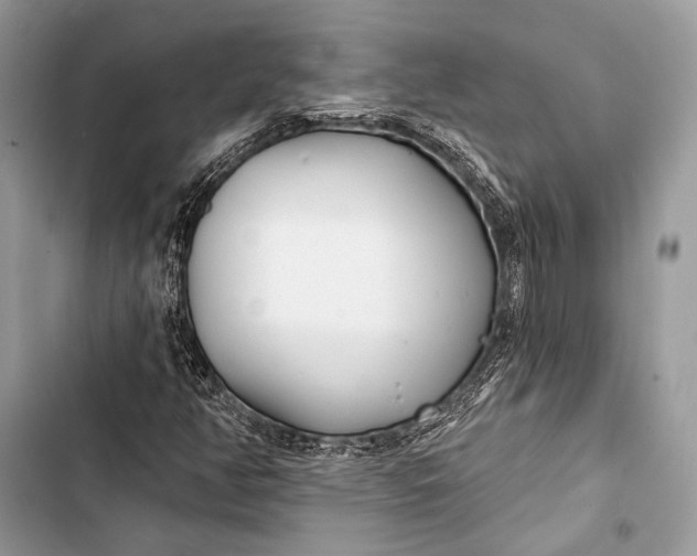 X0000103491350200810031556