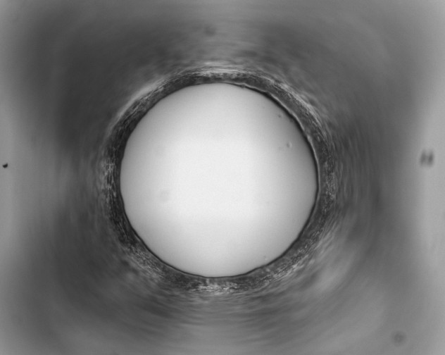 X0000103491351200810031556