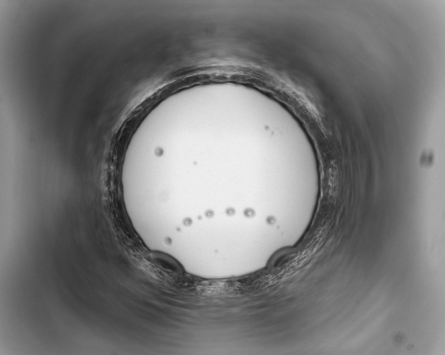 X0000103491352200810031556