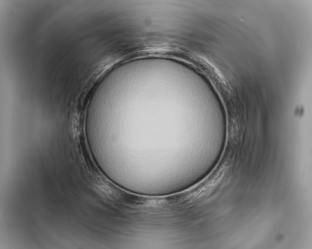 X0000103491353200810031556