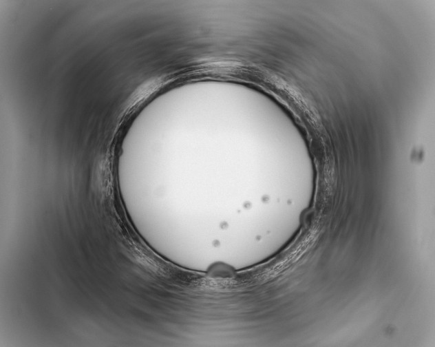 X0000103491354200810031556