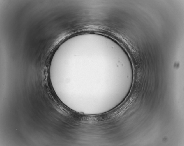 X0000103491355200810031556