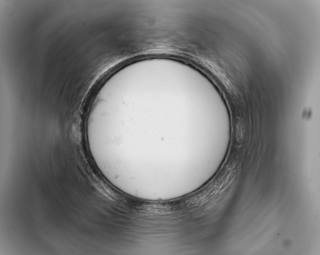 X0000103491356200810031556